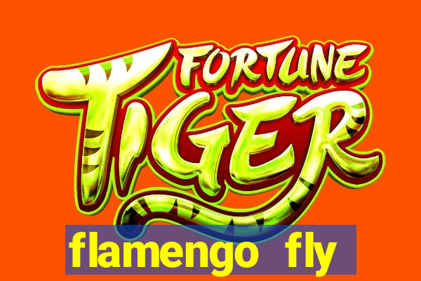 flamengo fly emirates ultimas noticias